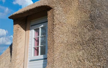 Winewall thatch roof disadvantages